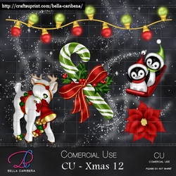 CU Xmas 12