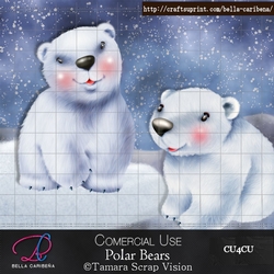Polar Bears