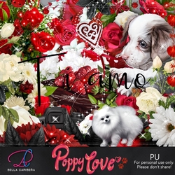 Poppy Lover