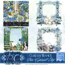 Our Special Day CF5