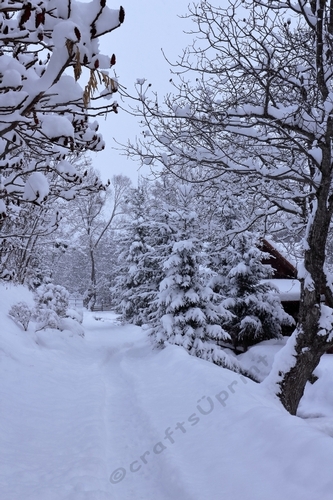 Christmas Landscape 1