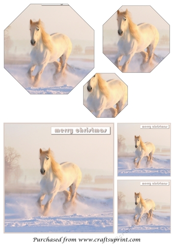 White Horse in Snow Octagon Pyramid