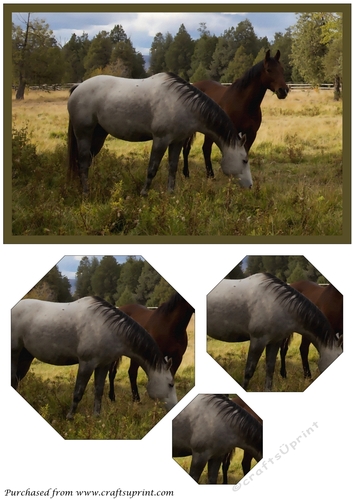 Two Horses Octagon Pyramid