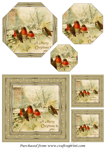Christmas Birds Octagon Pyramage
