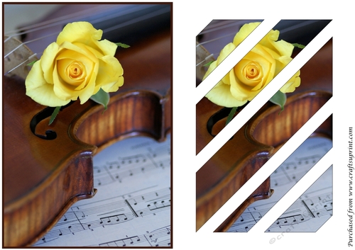 Violin and Rose Oblique Panels