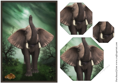 Elephant and Hare Octagon Pyramid