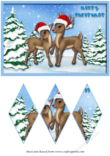 Christmas Reindeer Couple Diamond Panel Card