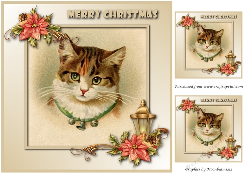 Cute Christmas Cat Topper