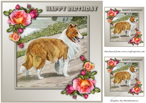 Vintage Collie Topper