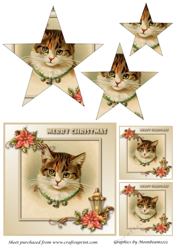 Cute Christmas Cat Star Pyramid
