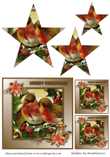 Christmas Birds on branch Star Pyramid