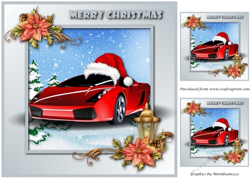Christmas Car Topper