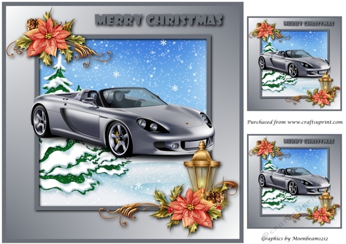 Christmas Sports Car Topper