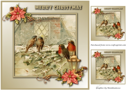Christmas Birds Topper 8x8