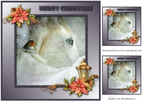 Christmas Robin and Horse Topper