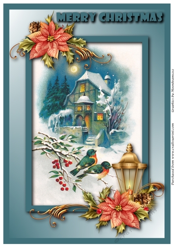 Vintage Christmas Scene with Birds A4