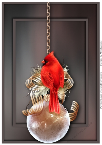 Christmas Cardinal and Ornament A4
