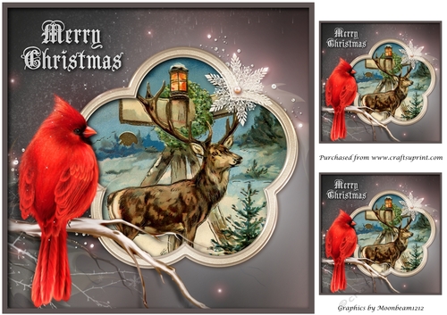 Christmas Reindeer Framed Topper