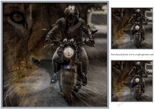 Lion Power Bike Topper