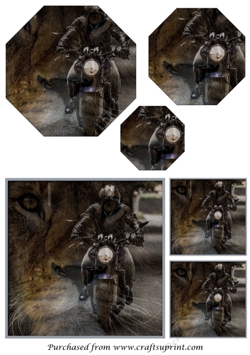 Lion Power Bike Octagon Pyramid