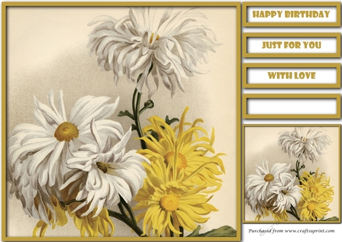 Vintage Chrysanthemum Flowers Quick Card