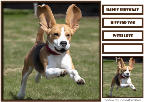 Funny Dog Quick Card 1
