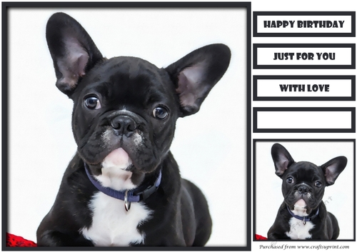 Cute Dog Quick Card 1