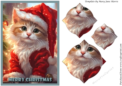 Christmas Santa Cat Splendid Pyramid