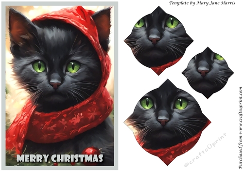 Cute Christmas Santa Cat Splendid Pyramid