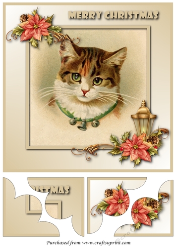Cute Christmas Cat Quadro Petal Corner Stacker