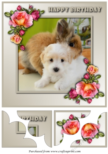 Cute Dog and Bunny Quadro Petal Corner Stacker