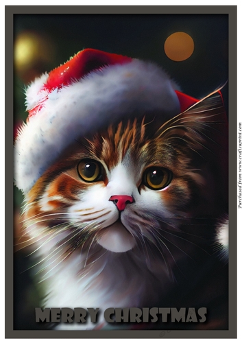 Christmas Cute Santa Cat A4