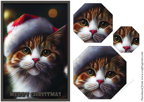 Christmas Cute Santa Cat Octagon Pyramid