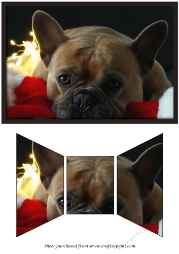 Cute Christmas Dog Quick Card