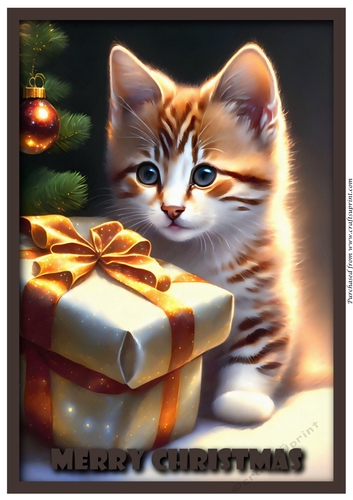 Cute Christmas Cat and Gift A4