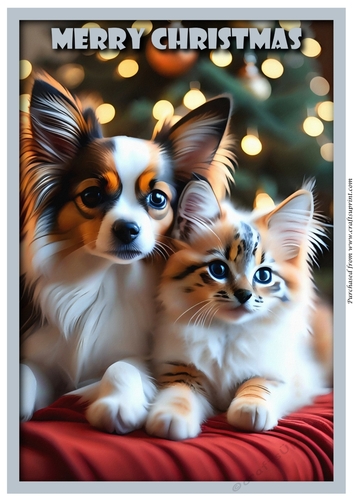 Christmas Cat and Dog A4