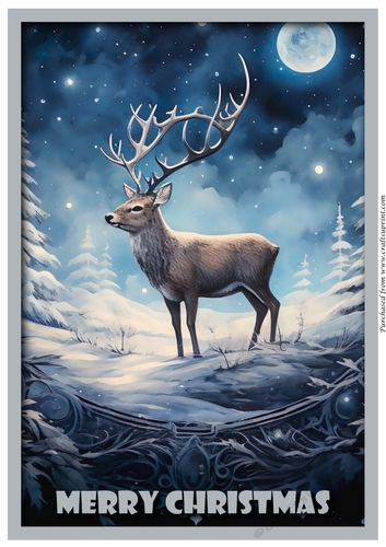 Christmas Reindeer at Night A4