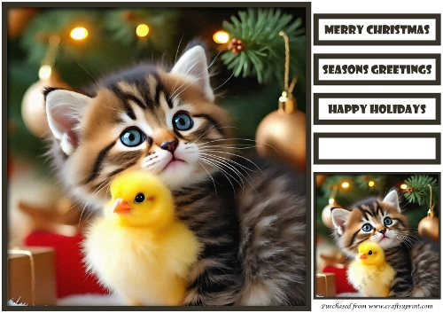 Christmas Friendship Quick Card