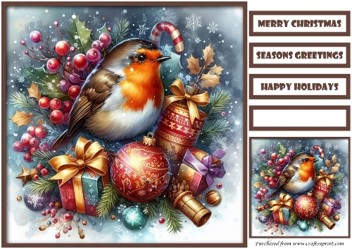 Christmas Cute Robin Quick Card 4