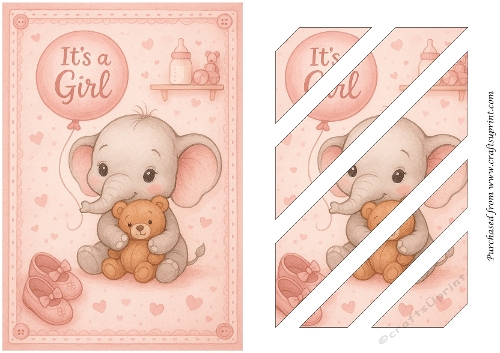 Baby Girl Shower Oblique Panels