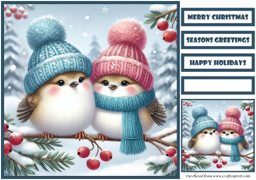 Christmas Cute Birds Quick Card