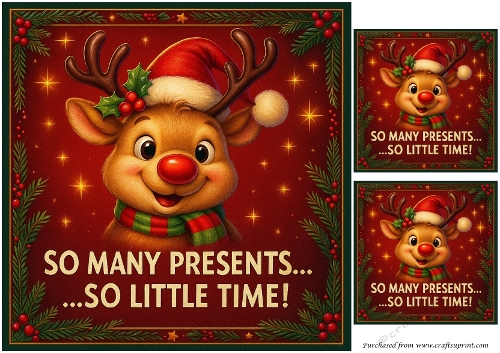 DD FUNNY CHRISTMAS 30