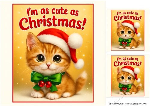 DD FUNNY CHRISTMAS ANIMALS 6