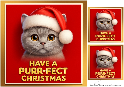DD FUNNY CHRISTMAS ANIMALS 7