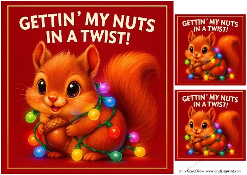 DD FUNNY CHRISTMAS ANIMALS 11