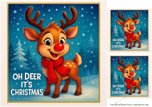 DD FUNNY CHRISTMAS ANIMALS 19