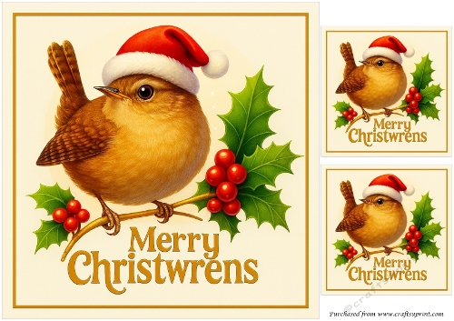 DD FUNNY CHRISTMAS ANIMALS 23