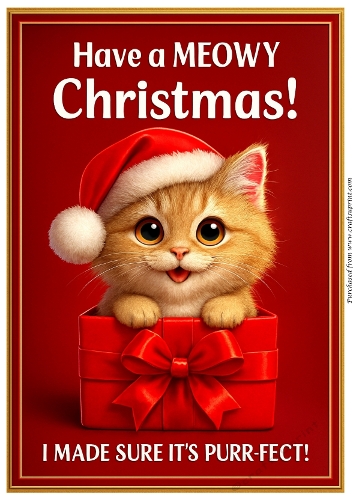 DD FUNNY CHRISTMAS ANIMALS 27