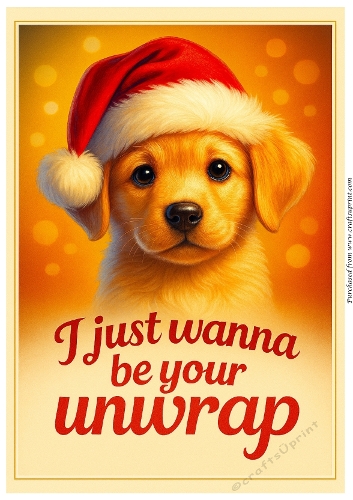 DD FUNNY CHRISTMAS ANIMALS 28