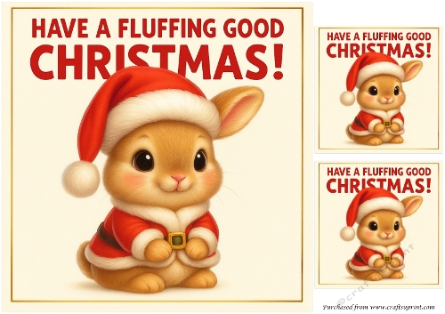 DD FUNNY CHRISTMAS ANIMALS 37